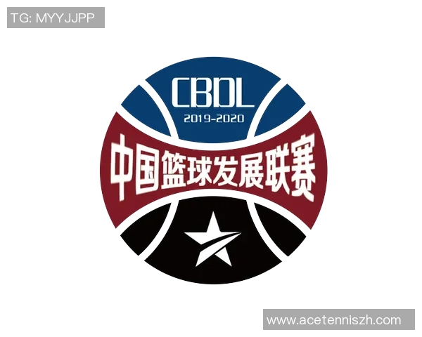 中国篮球明星的崛起与影响力解析英文字幕全纪录