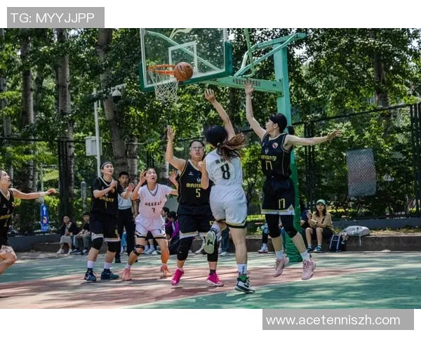体校出身的篮球明星们有哪些他们的成就与影响力如何